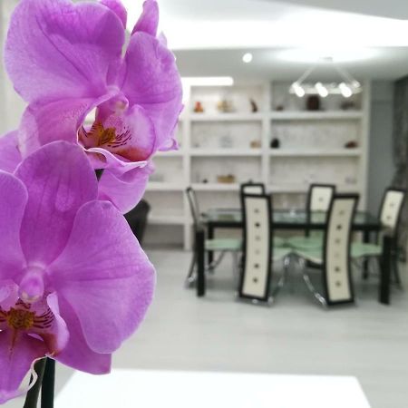 Paradise Apartament Braşov Buitenkant foto