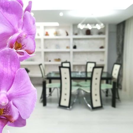Paradise Apartament Braşov Buitenkant foto