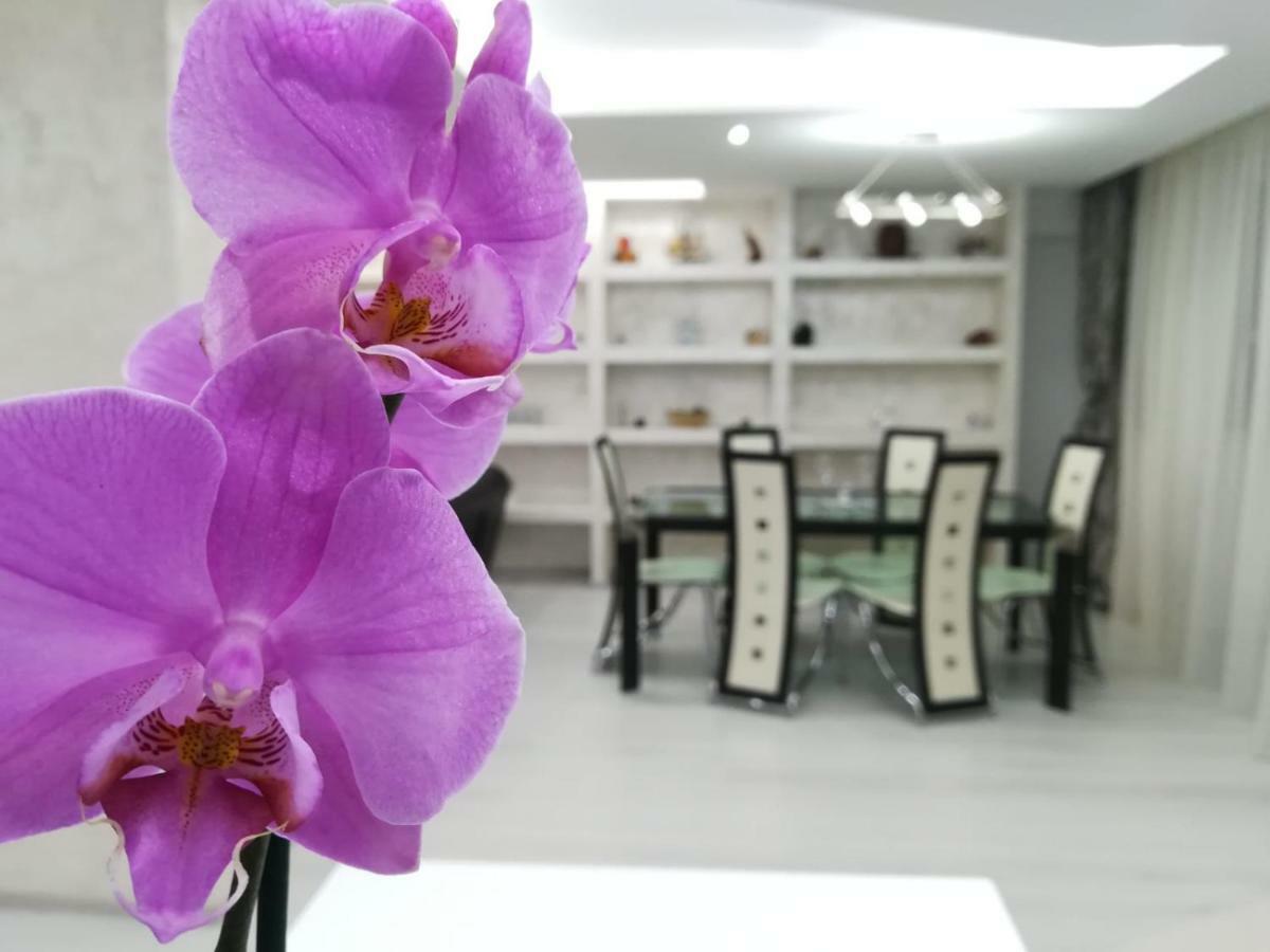 Paradise Apartament Braşov Buitenkant foto