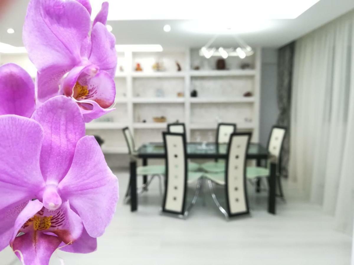 Paradise Apartament Braşov Buitenkant foto